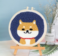 Plastic Embroidery Frame Punch Needle Kit